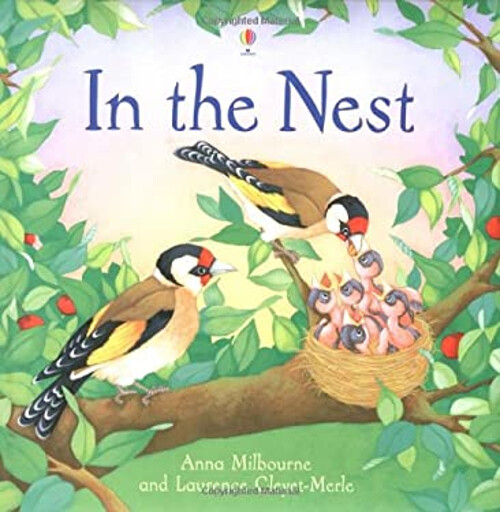 Nest Paperback Anna Milbourne