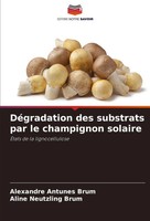 DéGradation Des Substrats Par Le Champignon Solaire ÉTats De La Lignocellulose