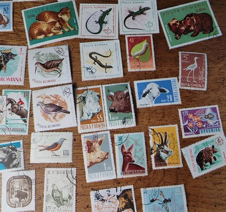 Lote de 60 SELLOS ANIMALES RUMANÍA Lote Usado CTO Bisagras Gatos, Insectos, Pájaros, Osos Foto 4 de 4