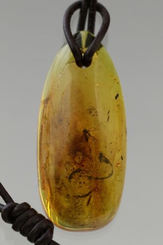 3 insetti Ciondolo a cordine regolabile in pelle vera ambra baltica 4g 190918-11 - Foto 1 di 5