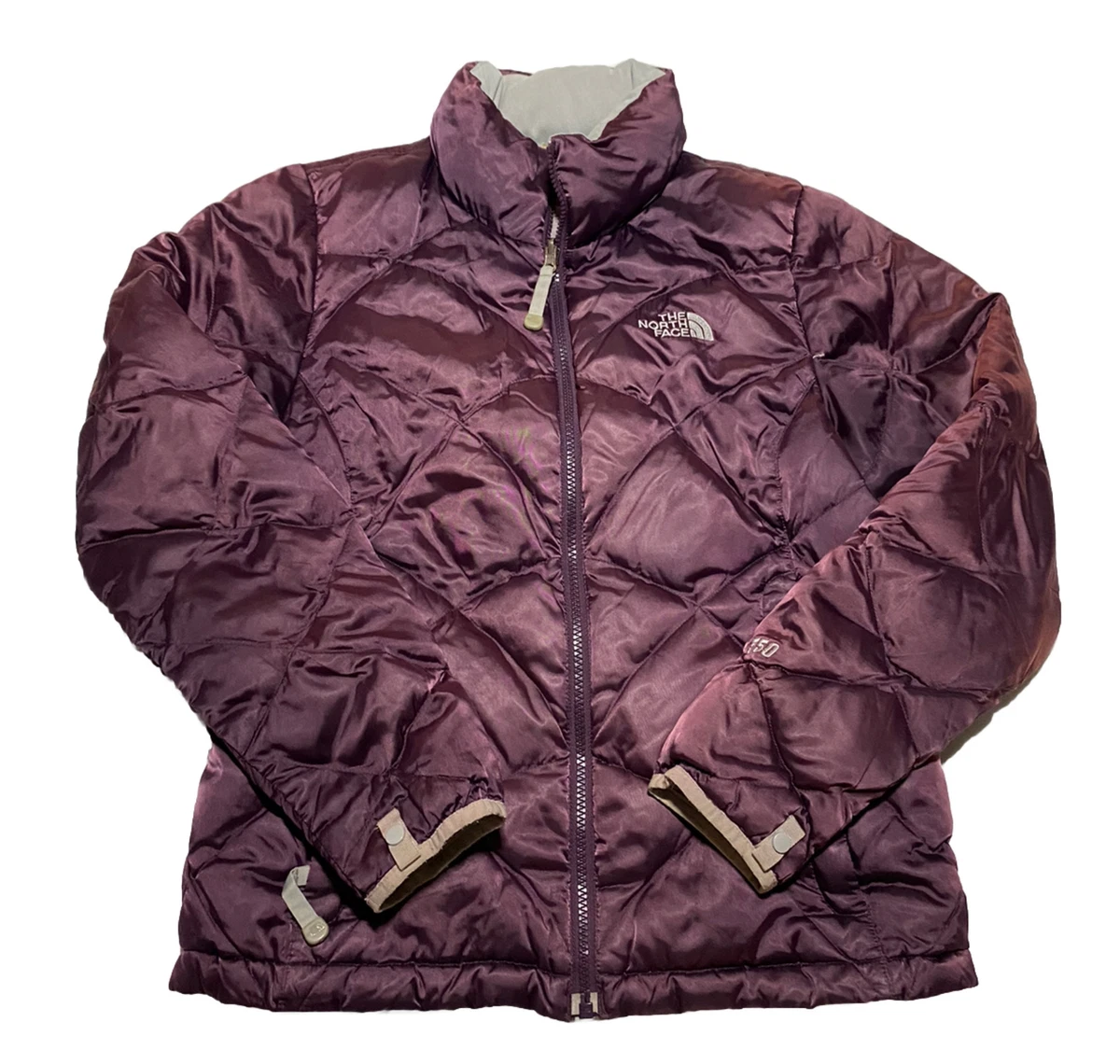 Floor length best sale north face coat