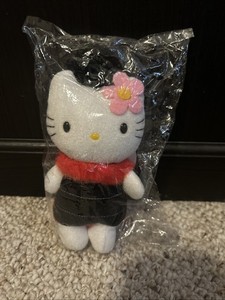 Hello Kitty Ladybug | eBay display picture 1
