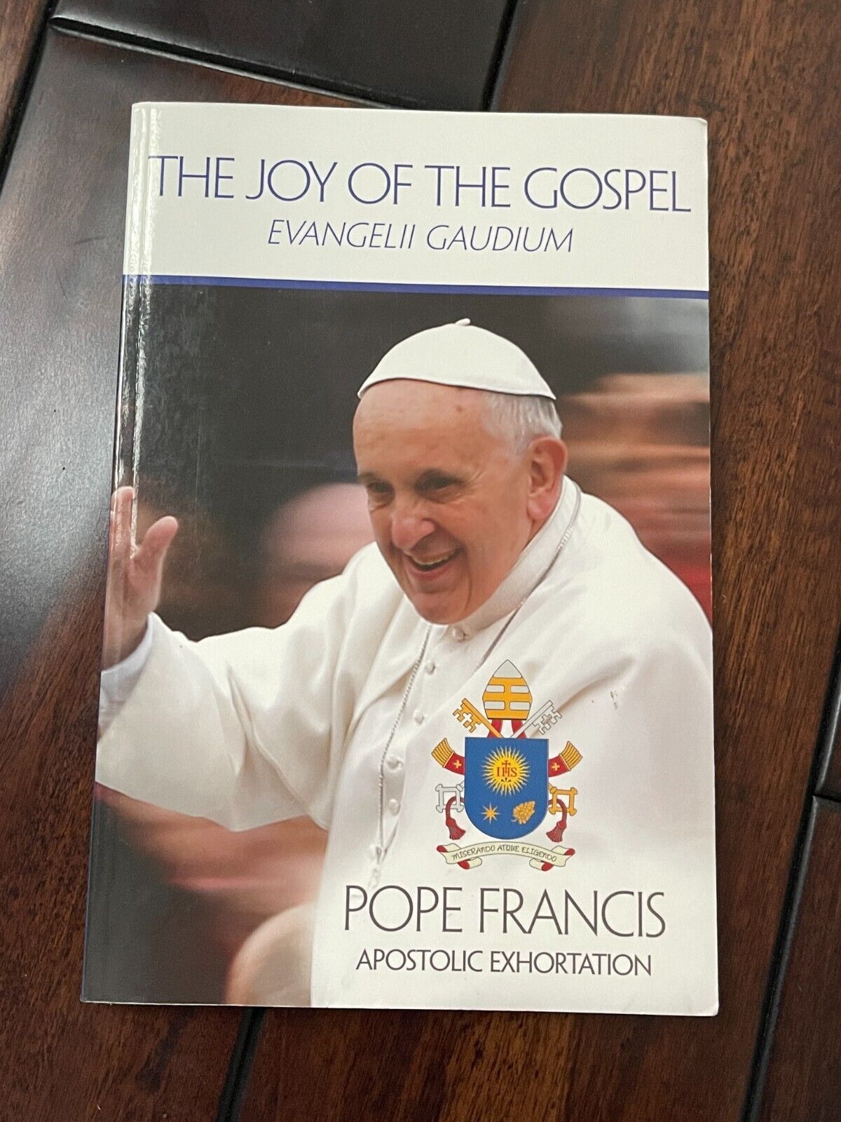 Joy of Gospel (Evangelii Gaudium)