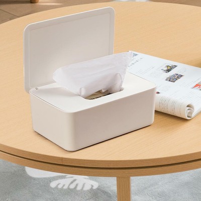 travel wipes case