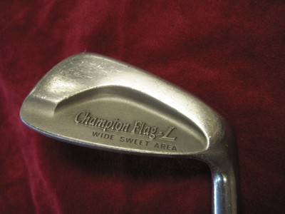 mizuno wave ronin 5 weight
