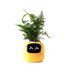 Smart pet Planter Robot Guidance on Plant Care with Emojis, Adorable Plant Co...