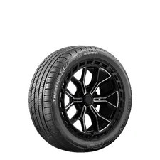 Travelstar UN33 235/55R18 100V BSW (1 Tires)