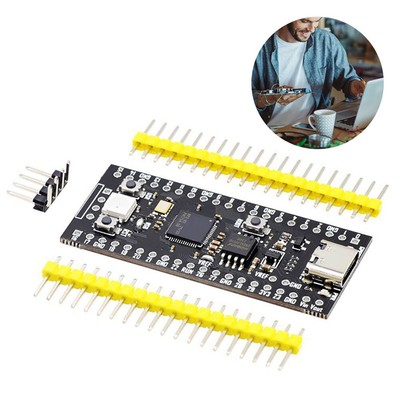 Raspberry Pi Pico Board RP2040 Low-Power Microcomputers (Black With LED 16MB)
