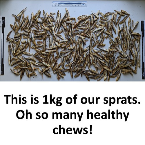 Sprat Dog Food Treats 100% Natural Healthy Training Chews Hypoallergenic Omega 3 - Picture 11 of 11