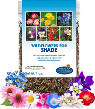 Partial Shade Wildflower Seeds - 1 oz Packet, Open-Pollinated Wildflower Seed Mi 215.84 per gallon