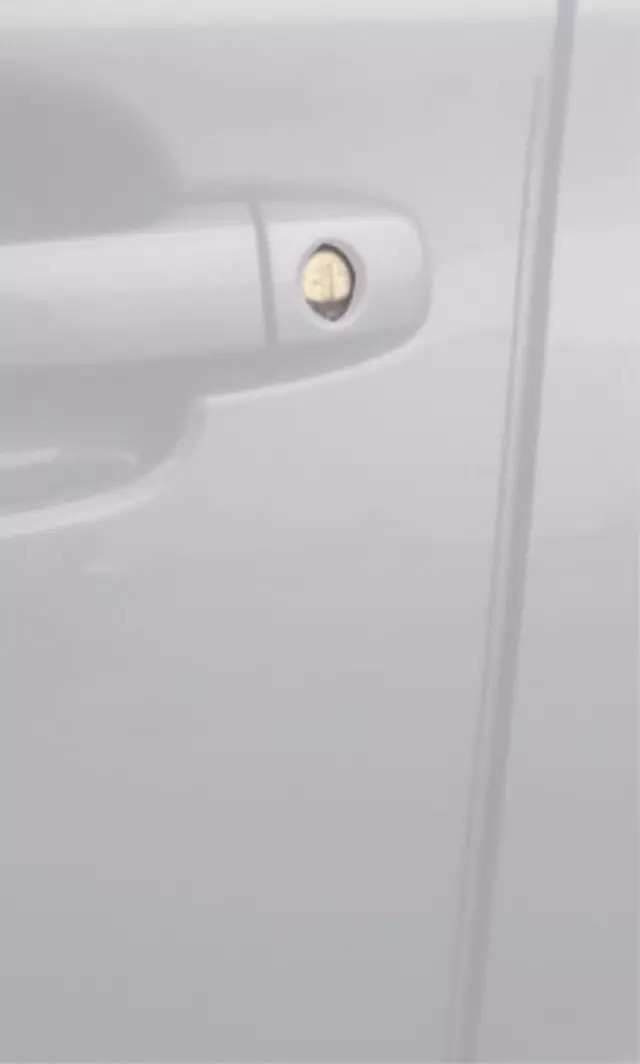 Kit de protectores de borde de puerta para Subaru Ascent 2019-2024 (P/N SOA801P040M4)