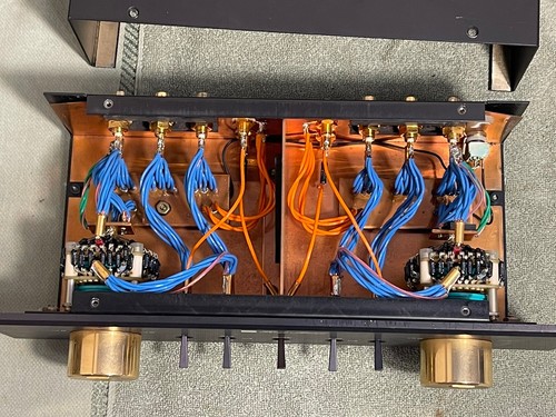 RARO Preamplificatore Passivo Primo Suono Audiophile Riferimento II - Foto 11 di 11
