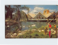 Postcard Hospitality House Overlooking Lagoon Busch Gardens Tampa Florida USA
