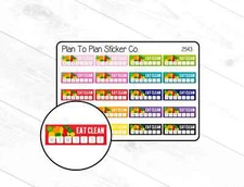 2543~~Eat Clean Boxes Planner Stickers.