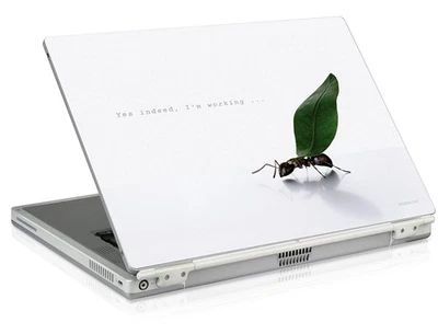 SL Notebook Skin 15,6" 16" 16,4" Aufkleber Working Ant Laptop Sticker Folie Case - Bild 1 von 4