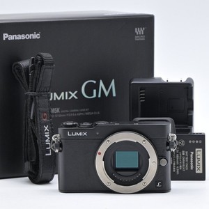 Panasonic Gm5 | eBay
