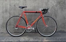 Serotta Colorado CRL, 56 Cm, Dura Ace 7402