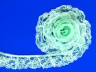 MINT GREEN~2 Inch Wide Ruffled Floral Lace Trim~By 5 Yards