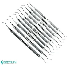 10 Pcs Professional Dental Restorative Standard Excavator Premium Instruments 