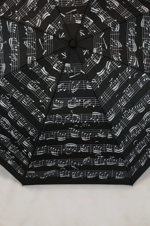 Paraguas pequeño negro con notas Foto 2 de 4