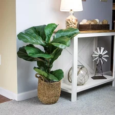 Artificial 3-Foot Fiddle Leaf Fig Plant in Basket