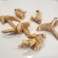 1LB 100 American Ginseng Root Extra Large Round Root US Seller              