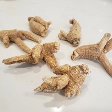 1LB 100% American Ginseng Root Extra Large Round Root US Seller 美国花旗参特大泡参