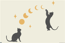 Folgezeichnung - Katze Und Mond 1 Poster - 22x34 24879