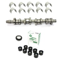 Nockenwellensatz Guss FüR Vw Audi 1.9 2.0 Tdi 038109101AH Bmm