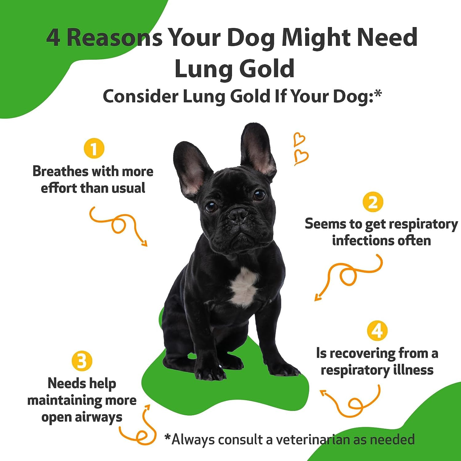Lung Gold for Dogs VetFormulated Lung & Respiratory Immune Support