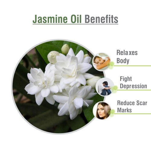 NEW Crysalis Jasmine Oil (Jasminum) 100% Pure Natural Essential Oil 10ml–5000ml. - Picture 2 of 13