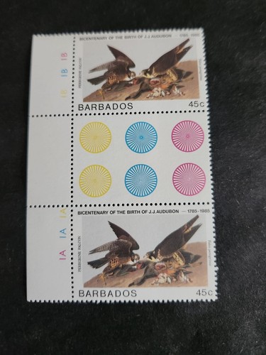 Rjkstamps Barbados 1985 Audubon Art, Birds Souvenir Stamp Sheet - Scott #665