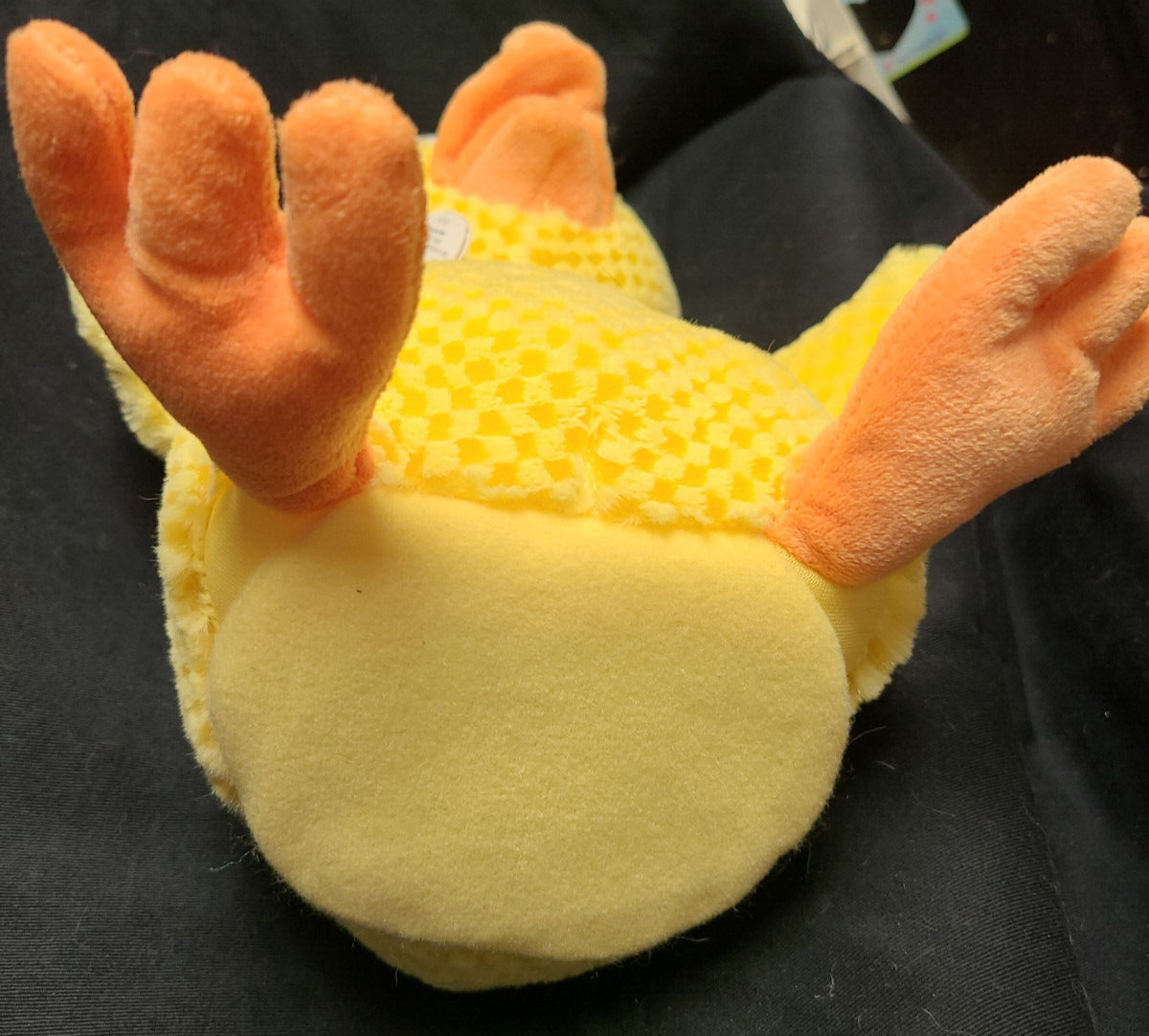 Picture 5 of 5