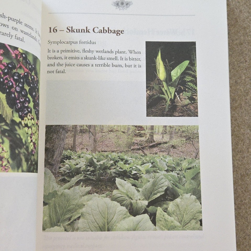 Samantha Deere Foraging Medicinal Herbs and Wild Edible Plants in Great