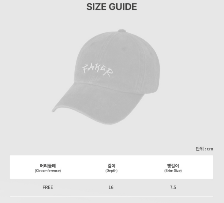 T1 韓国　lol Faker Cap 新品未開封　フェイカー　帽子 FAKER League of Legends Worlds 2024 CHAMPION The One and