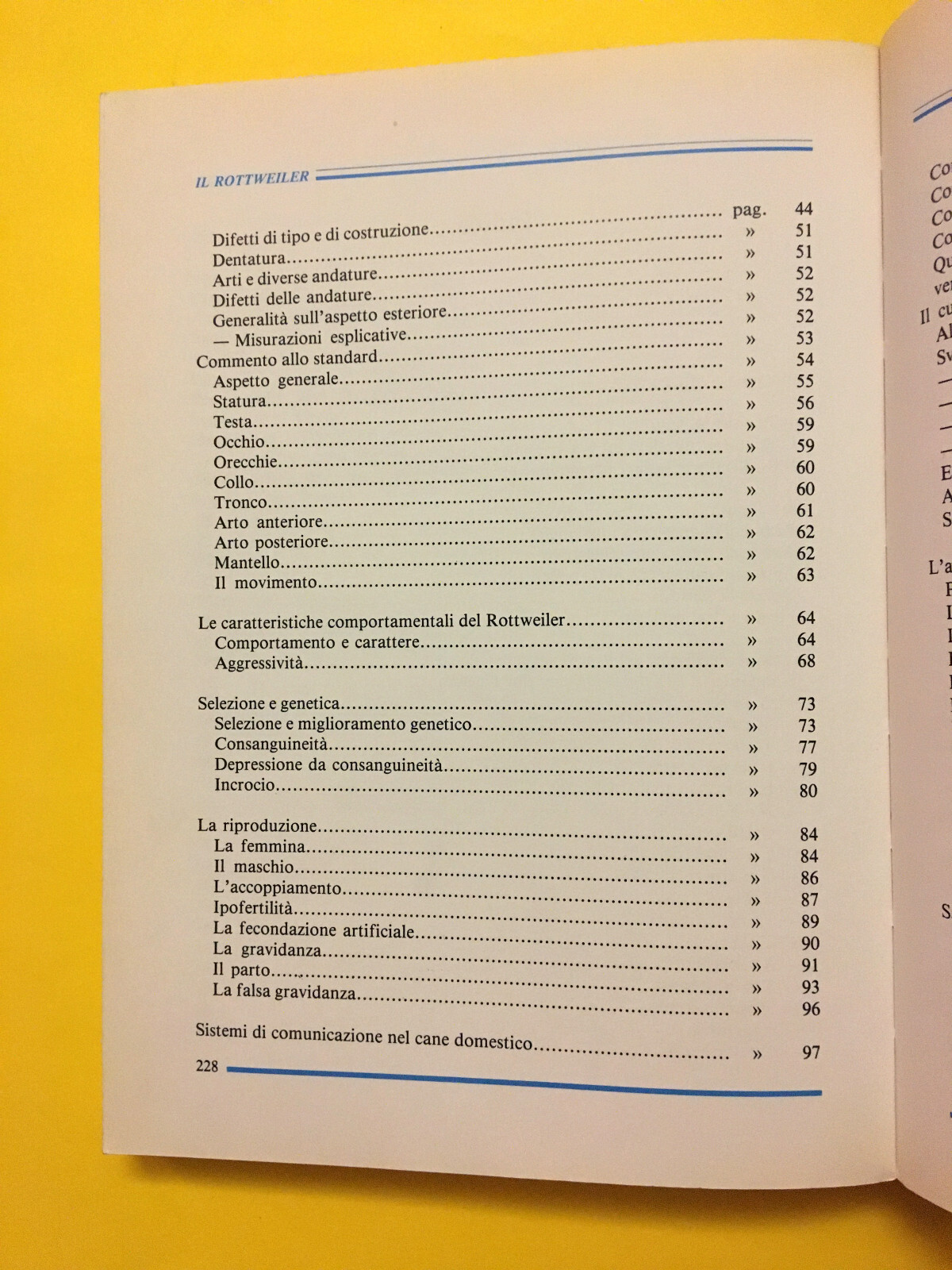 Foto 5 di 8