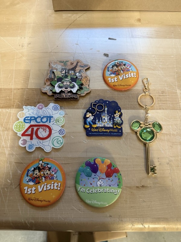 Disney Walt Disney World 7-Piece Bundle Mickey Mouse Minnie Mouse Magnets & Pins