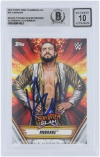 2019 Topps WWE SummerSlam Wrestling Cards 11