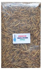 Mealworm Cichlid & Tropical Fish Food | Aquarama&reg; Premium Grade Dried | 1 x 100g