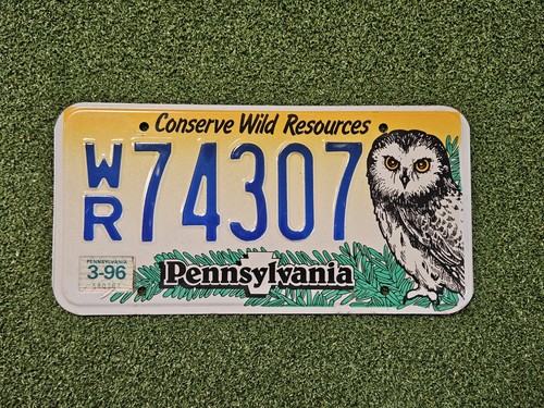 Pennsylvania Conserve Wild Resources Owl License Plate WR74307