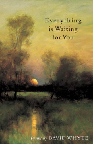 Everything Is Waiting for You (Paperback) by Whyte, David [Paperback]