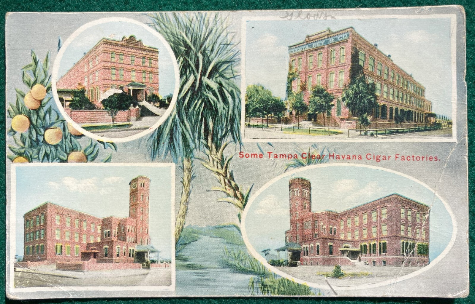 Multiview Litho Postcard Tampa Clear Havana Cigar Factories Florida FL