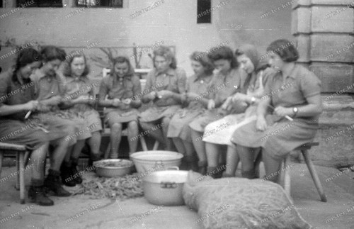 Negativ-Öhringen-RAD-Arbeitsdienst-Frauen-Lager-Hohenlohekreis-um 1940-13