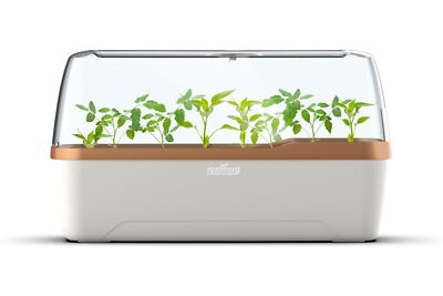 Romberg BOQUBE Gewächshaus & Pflanzkasten-System 41x17x23cm mit Belüftung creme/
