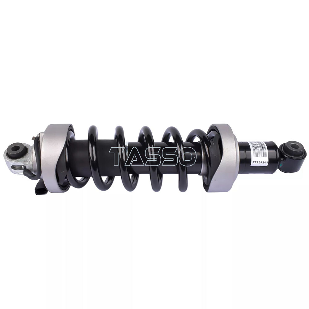 2X Rear Left Right Shock Absorber Strut MagneRide For Audi R8 V8 V10 2007-2015