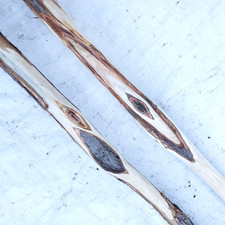 Diamond Willow Wood Carving Blanks Lot Walking Stick