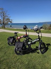 20" Fat Tire Adults Electric Bike 1500W 28mph 48V 12.8Ah Mountain Ebike NEW