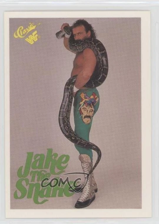 1990 Classic WWF - Jake 