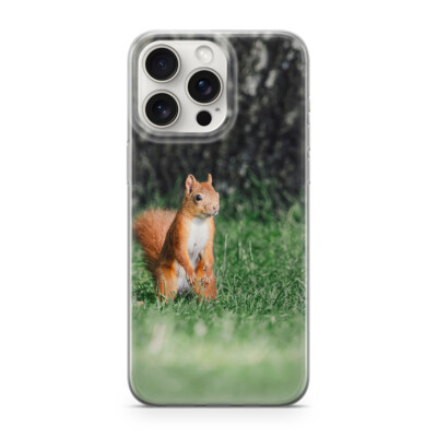 Sunny-Case Handyhülle für iphone 11 Eichhörchnen Park steht Nr.760 Tiere cute