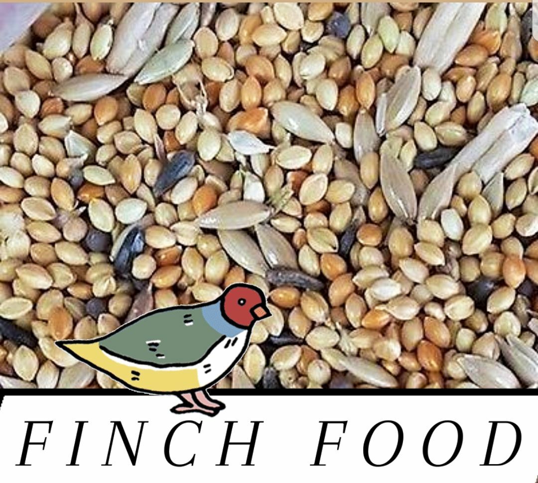 Feed Complete Diet Choose Size!!!